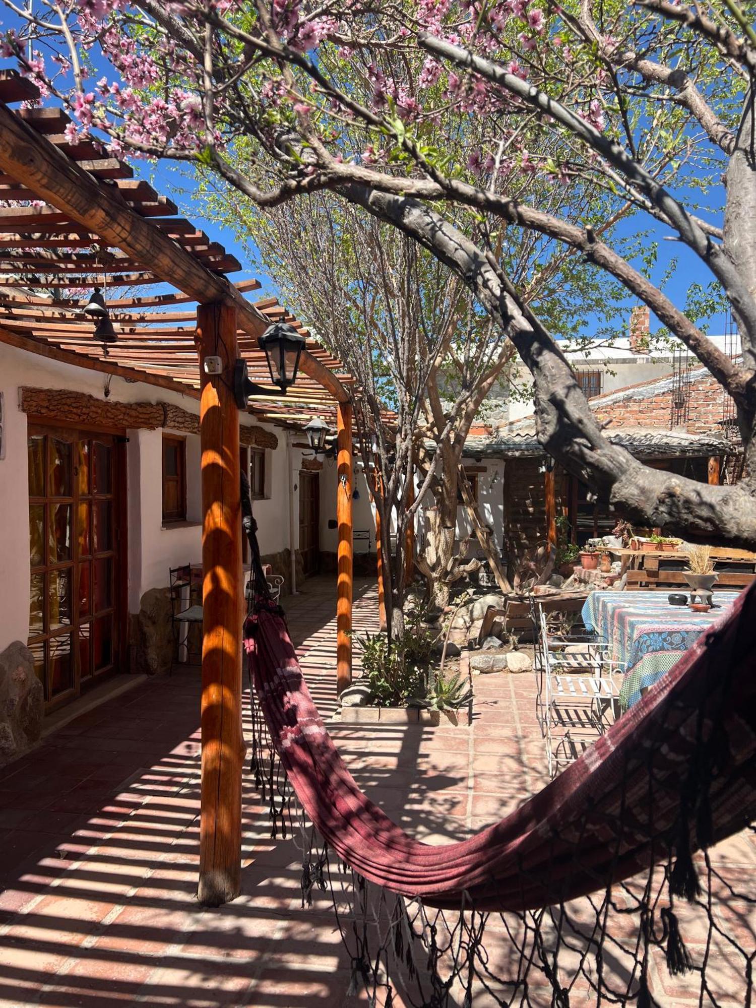 Hostal Tierra Andina 卡法亚特 外观 照片