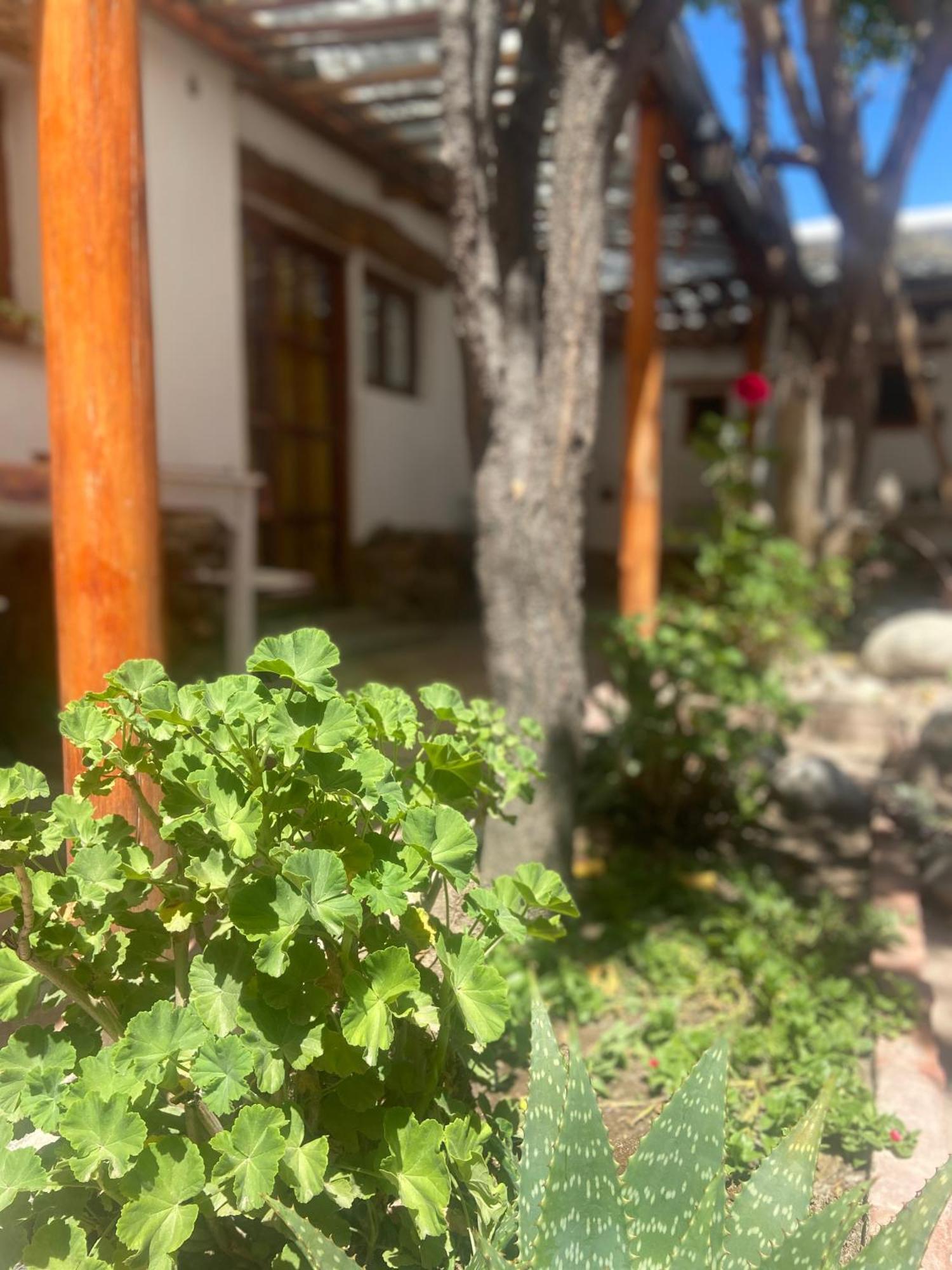 Hostal Tierra Andina 卡法亚特 外观 照片